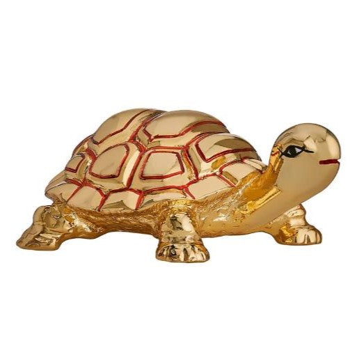 Tortoise Small